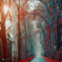 Ildiko Neer