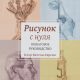 Клэр Ватсон-Гарсия — «Рисунок с нуля. Пошаговое руководство»